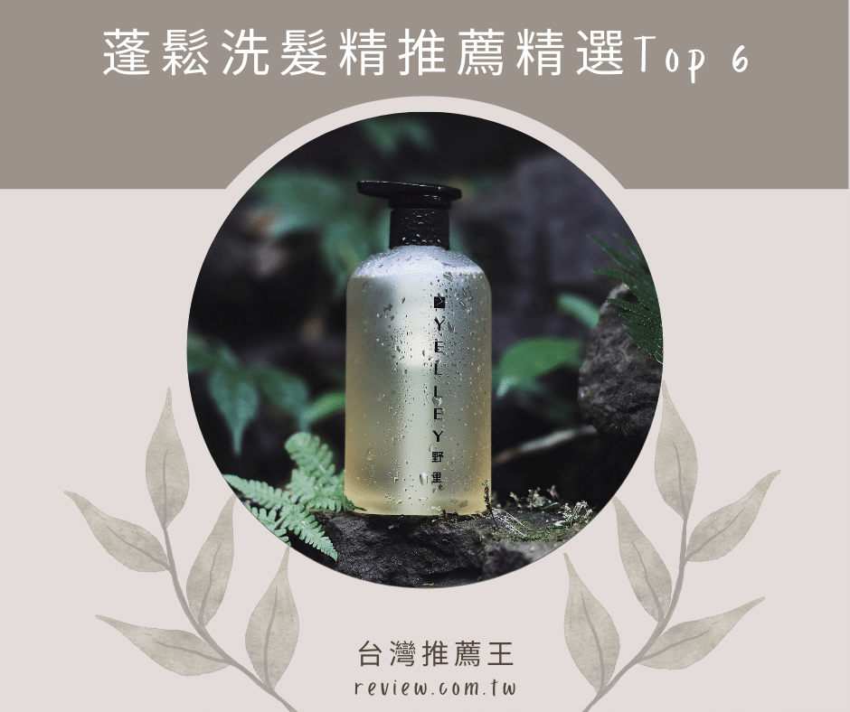 蓬鬆洗髮精推薦精選六大扁塌細髮設計師推薦必買排行榜-【2026年】 1