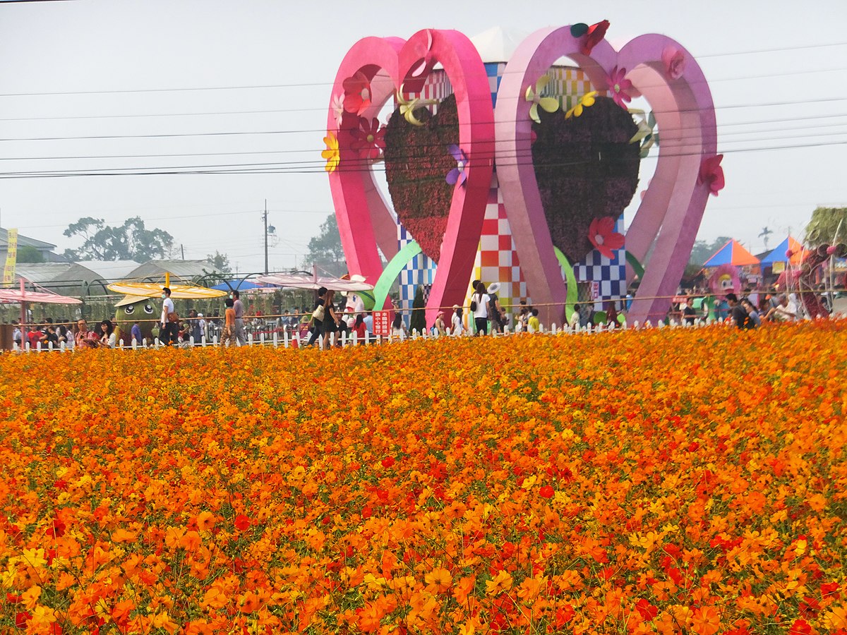 Taichung 26 xinshe flower garden festival